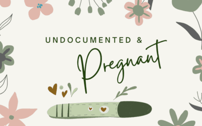 Undocumented and Pregnant: Where Can I Get Confidential Care?